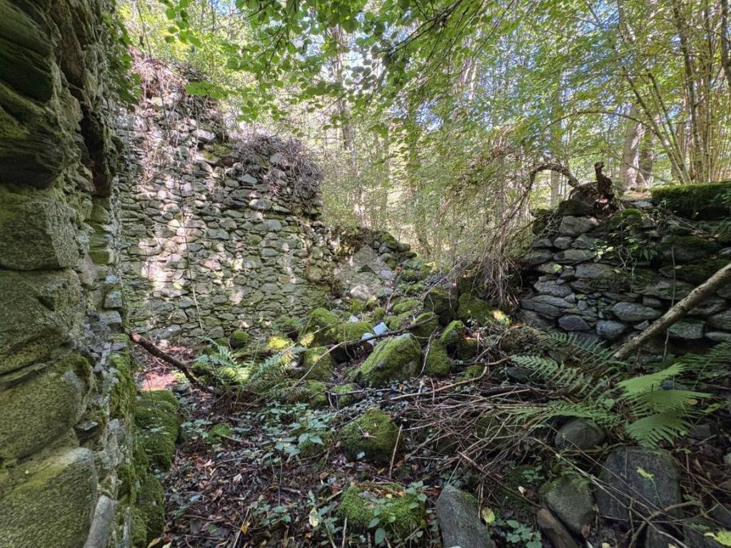 Rustico / casale a Dazio in Torchi bianchi - Foto 4