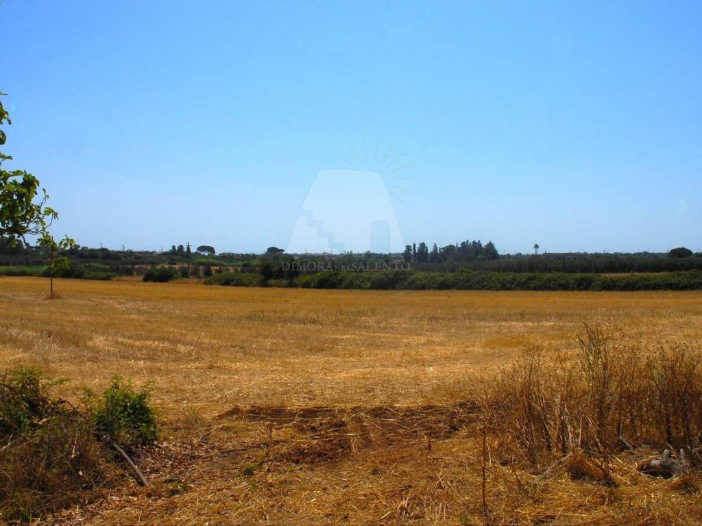 Terreno a Specchia in Via Estramurale Est - Foto 2