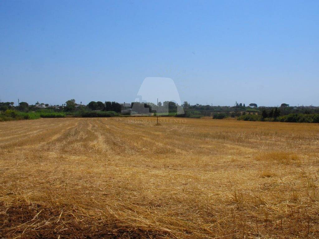 Terreno a Specchia in Via Estramurale Est - Foto 3