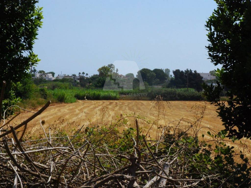 Terreno a Specchia in Via Estramurale Est - Foto 4