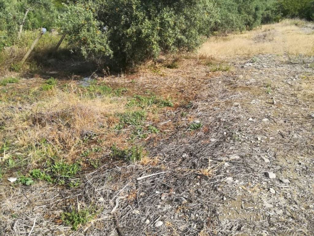 Terreno a Bagheria in Via Platone - Foto 3
