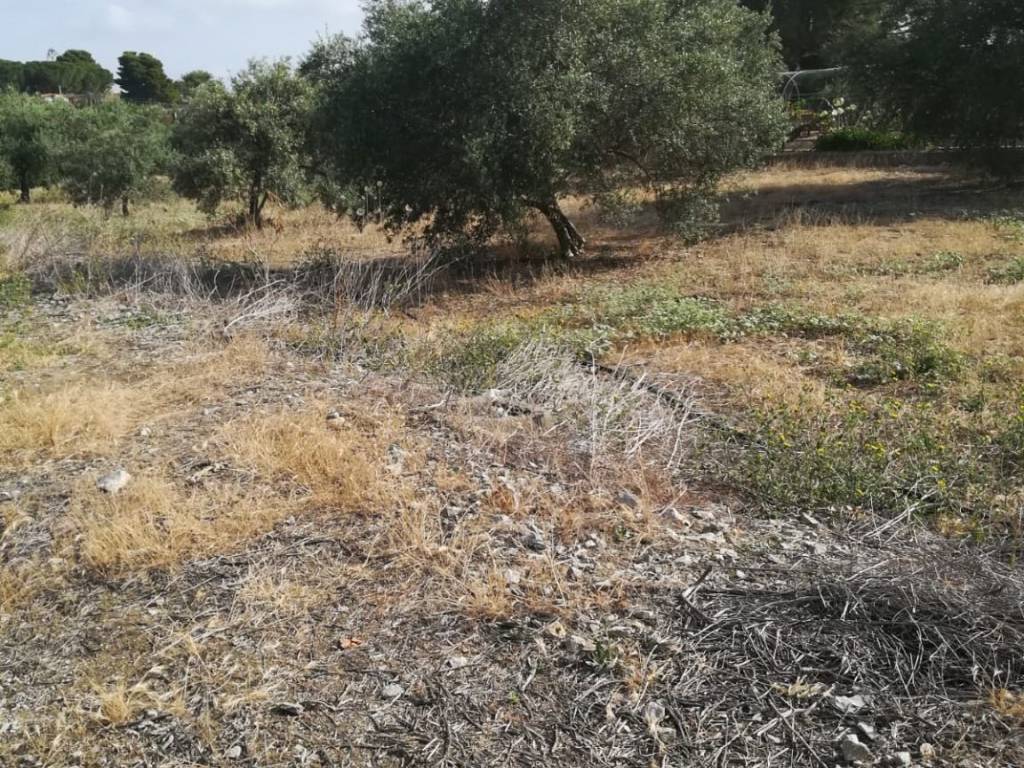 Terreno a Bagheria in Via Platone - Foto 5