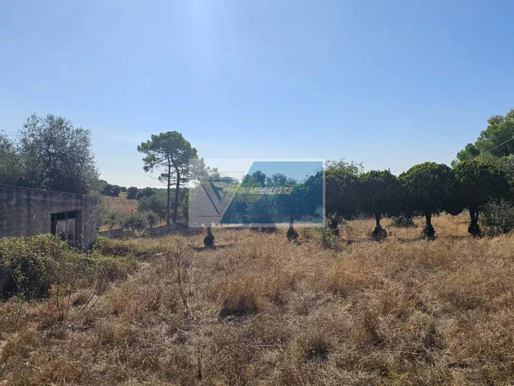 Terreno a Avola in Avola Antica - Foto 4