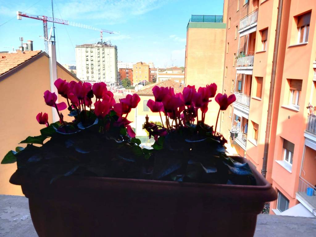 Appartamento a Bologna in Via Oslavia, 1 - Foto 2