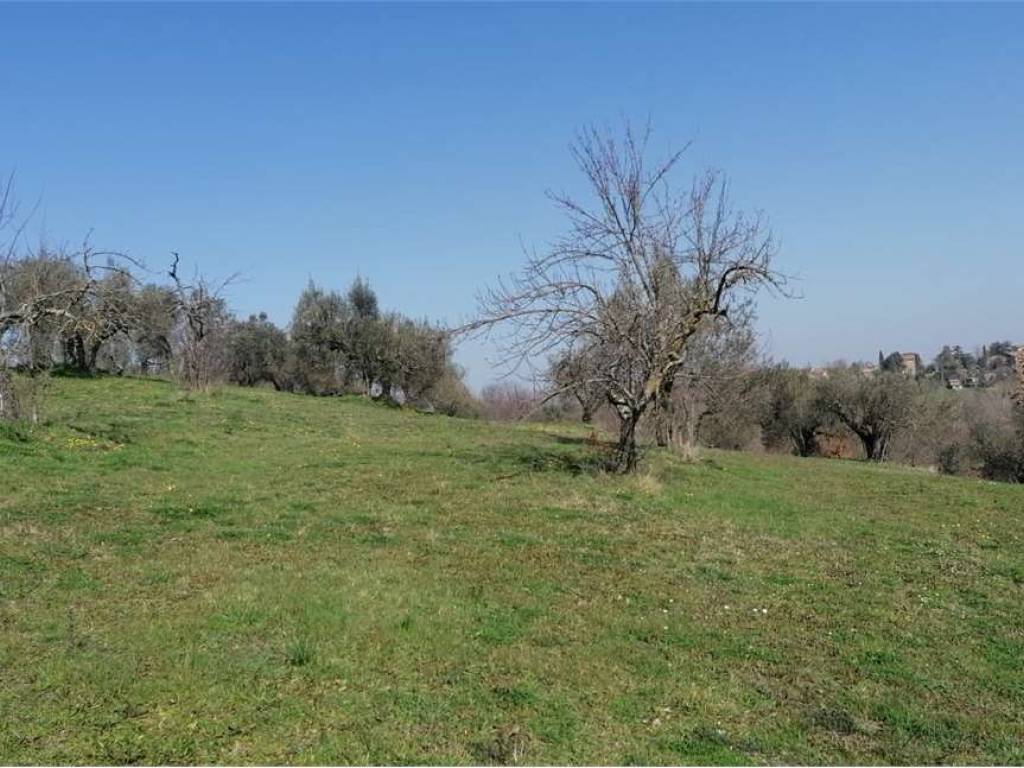 Terreno a Vetralla - Foto 3
