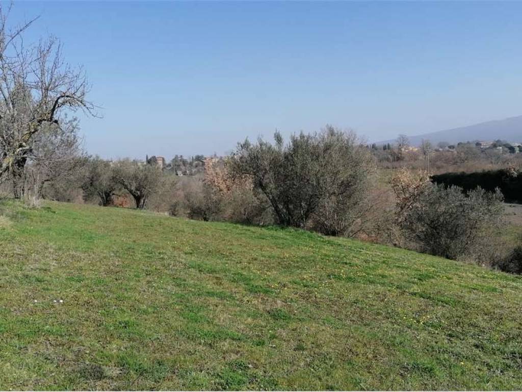 Terreno a Vetralla - Foto 4