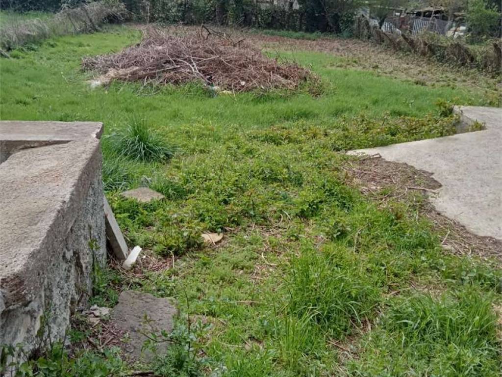 Terreno a Vetralla - Foto 2