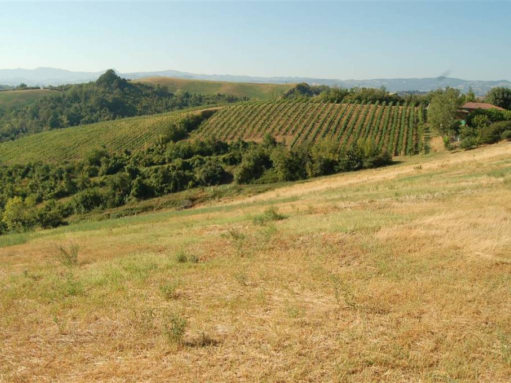 Terreno a Savignano sul panaro - Foto 3