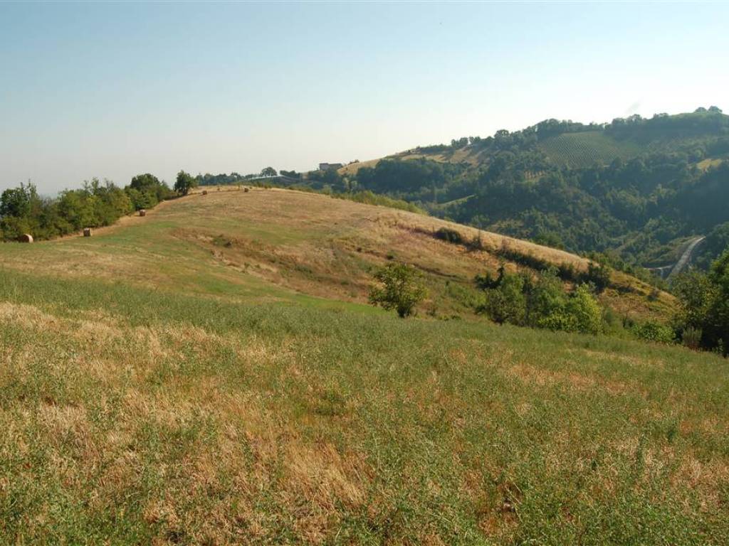 Terreno a Savignano sul panaro - Foto 5