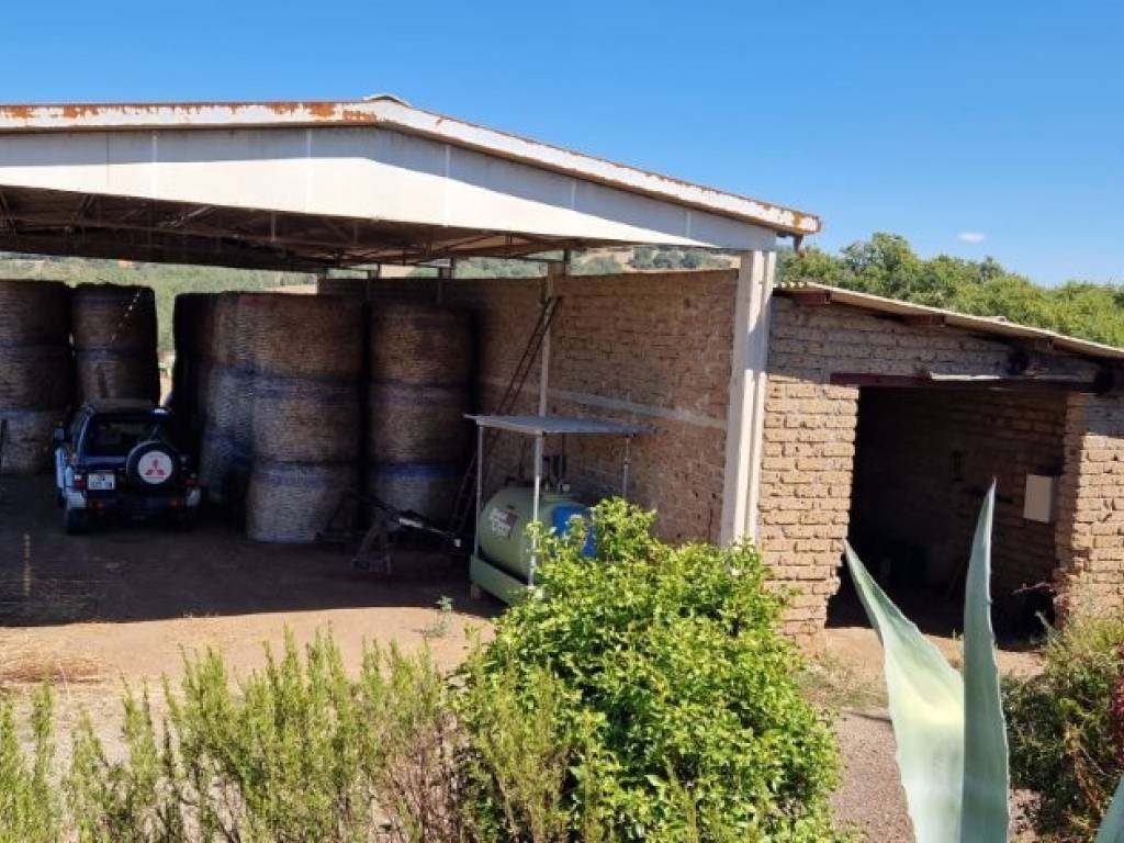 Terreno a Manciano - Foto 5