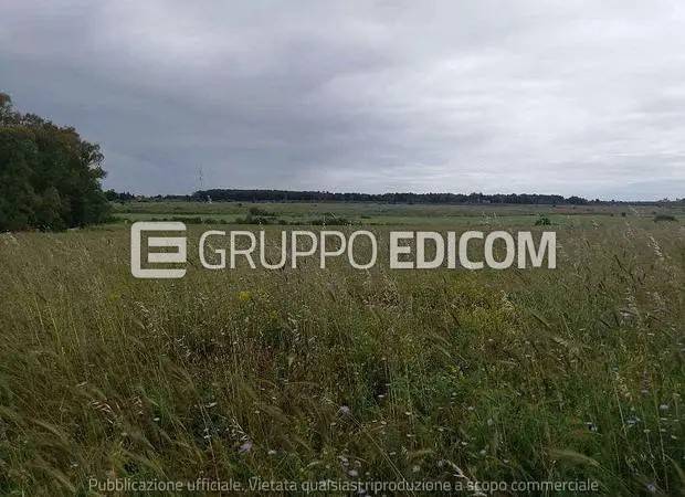 Rustico / casale a Ruffano in Strada Provinciale di Taurisano - Foto 4