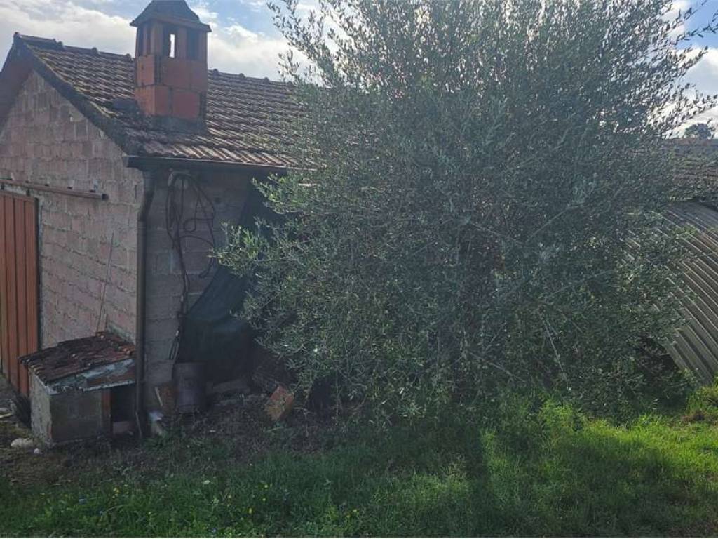 Casa indipendente a Lucignano - Foto 5