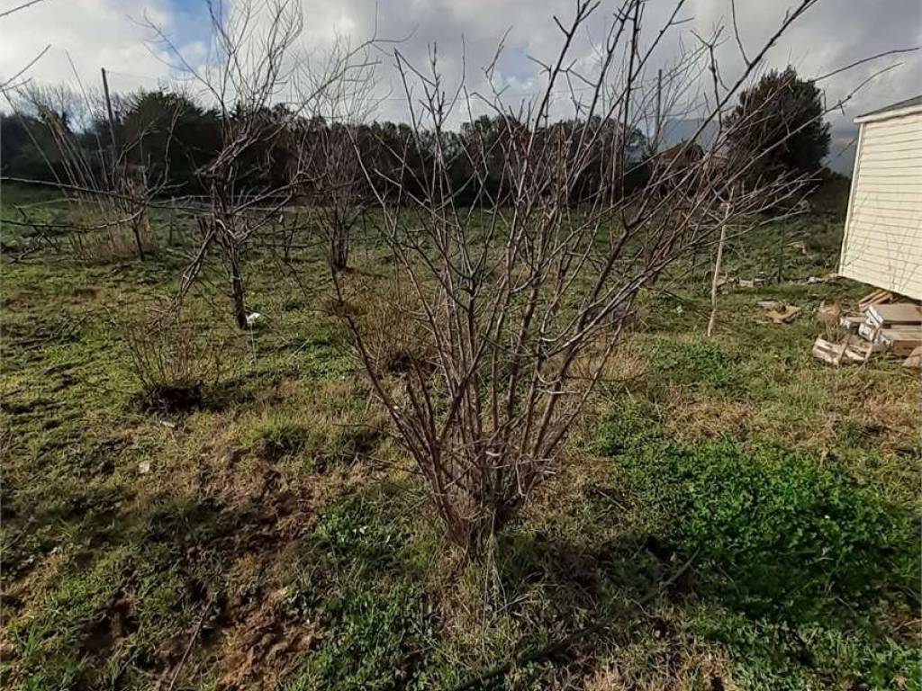 Terreno a Monreale in CONTRADA MONTAGNOLA - Foto 2