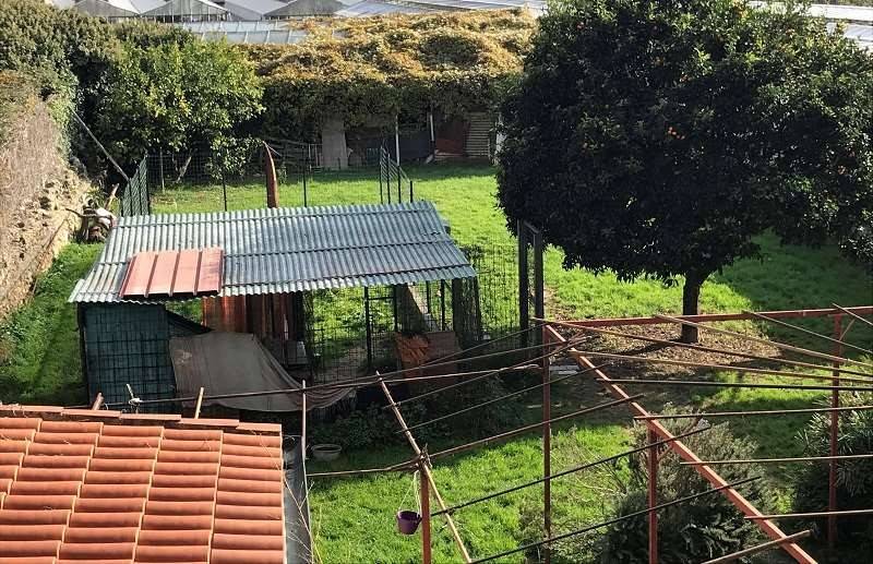 Casa indipendente a Vallecrosia - Foto 4