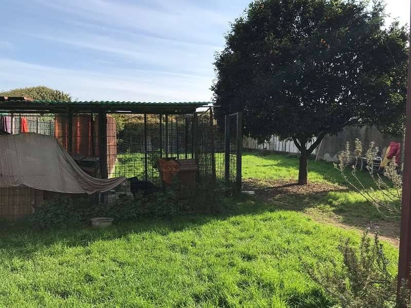 Casa indipendente a Vallecrosia - Foto 5