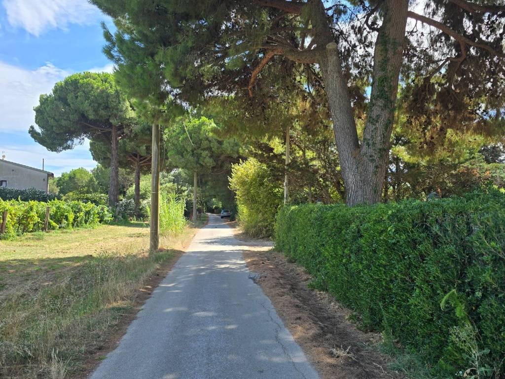 Villa a Orbetello in Strada Vicinale dei Pinalti - Foto 2