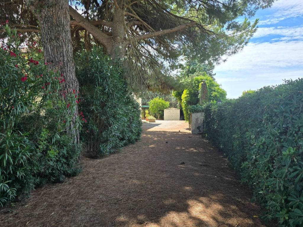 Villa a Orbetello in Strada Vicinale dei Pinalti - Foto 3