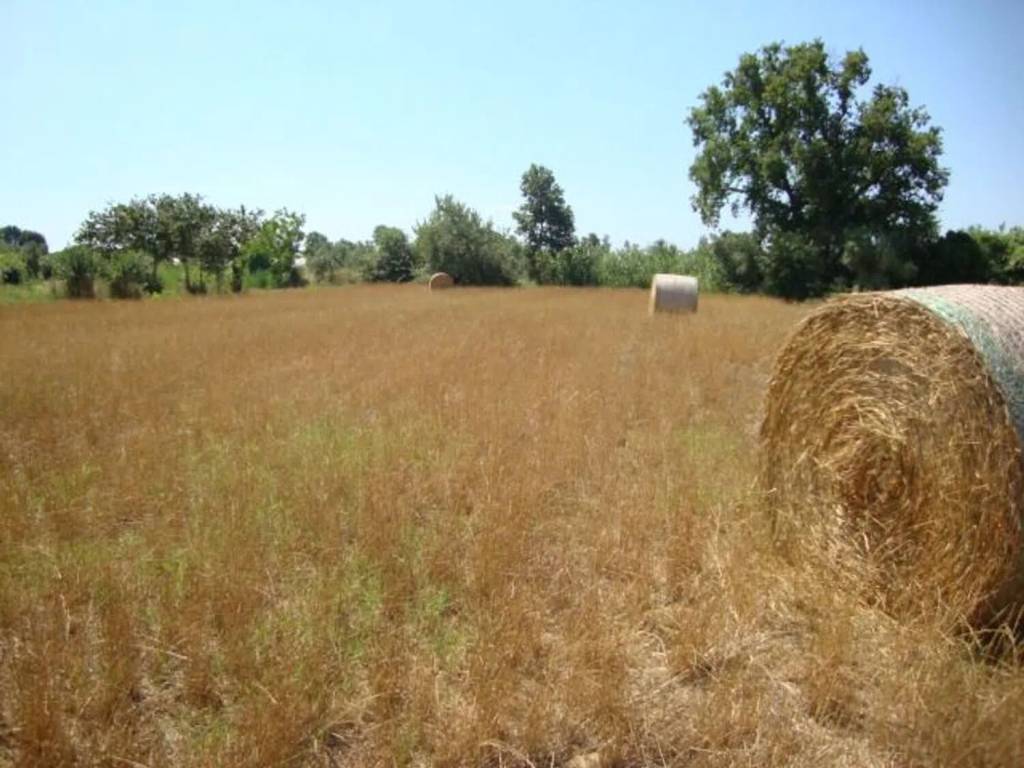 Villa a Fondi - Foto 4