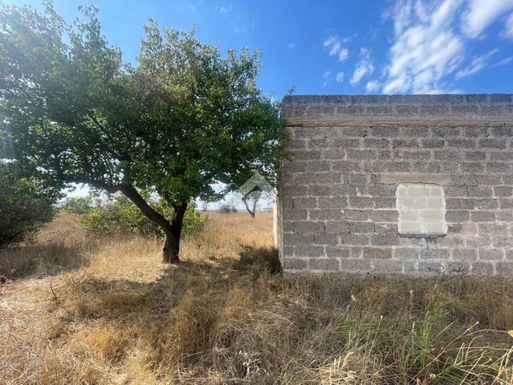 Rustico / casale a Nardò in XX settembre - Foto 3