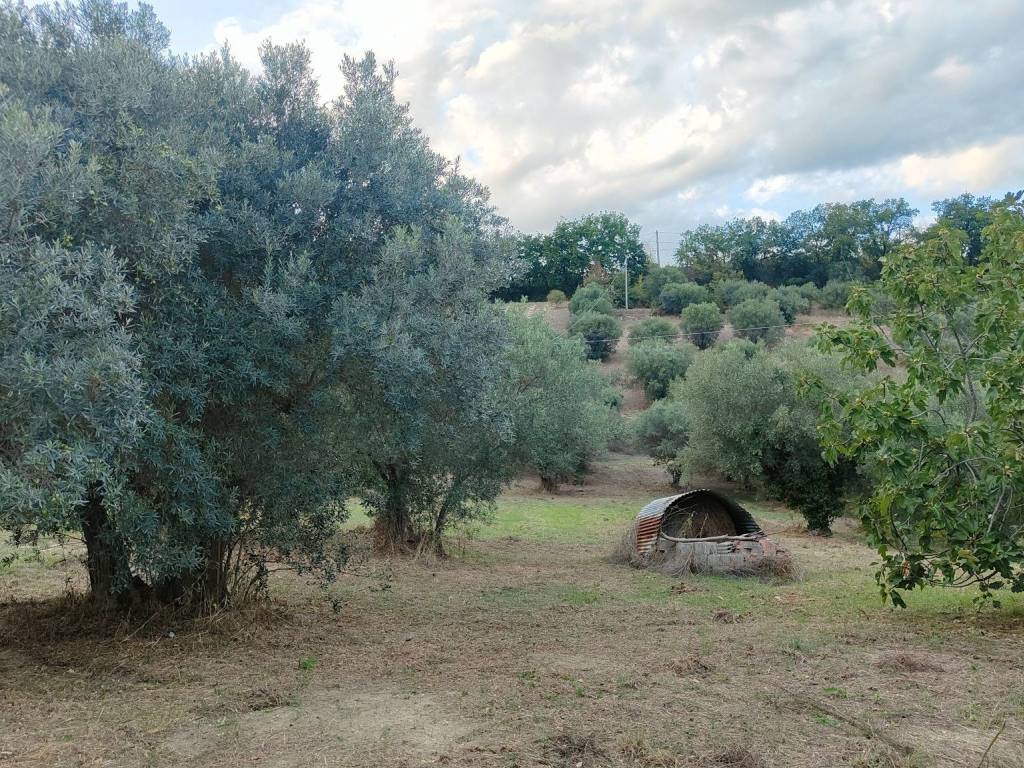 Terreno a Chieti in Strada Peschiera - Foto 2