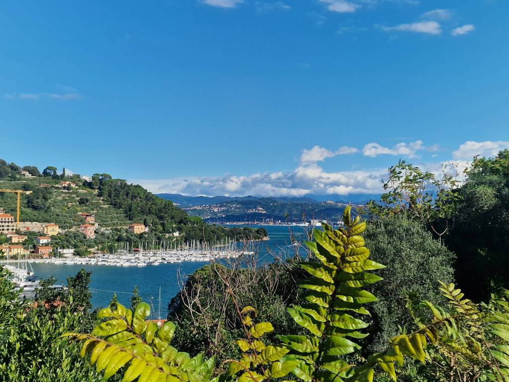 Terreno a Portovenere - Foto 2