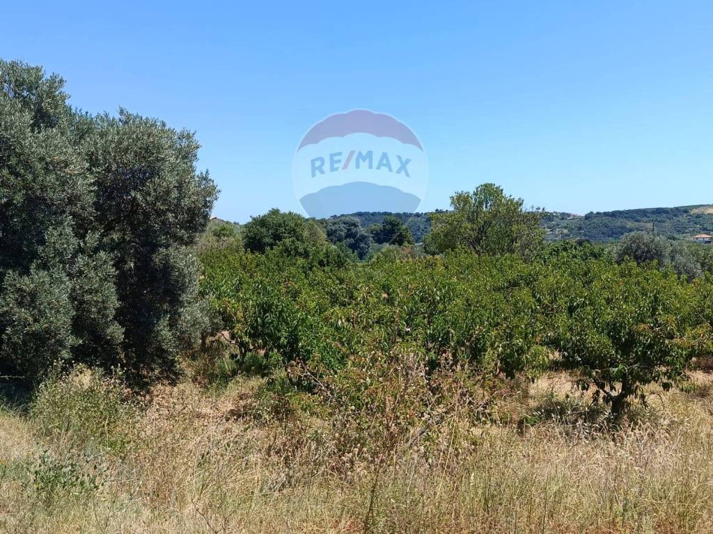 Terreno a Torrevecchia teatina in via vaschiola - Foto 2