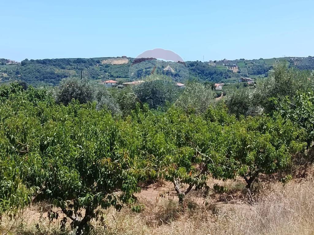 Terreno a Torrevecchia teatina in via vaschiola - Foto 3