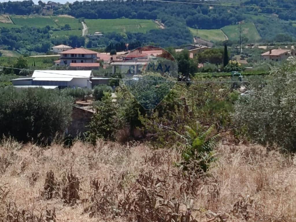 Terreno a Torrevecchia teatina in via vaschiola - Foto 4