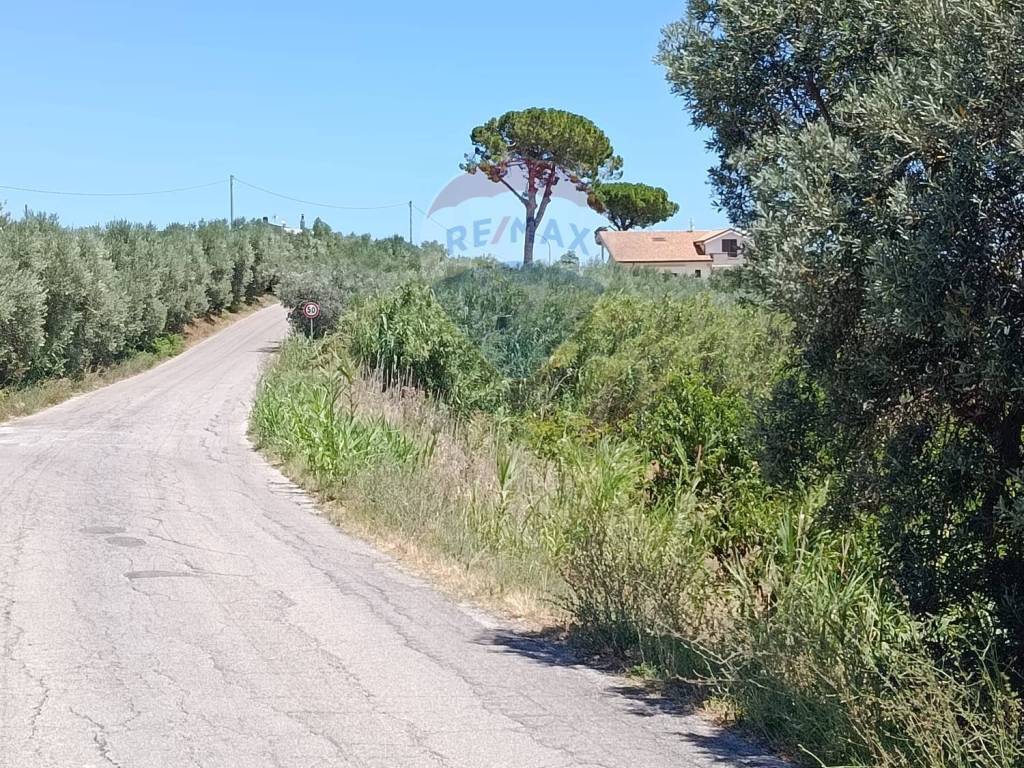 Terreno a Torrevecchia teatina in via vaschiola - Foto 5