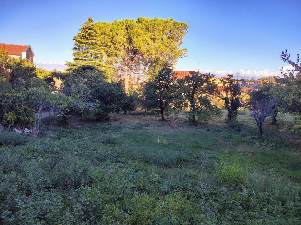 Terreno a Atessa - Foto 2