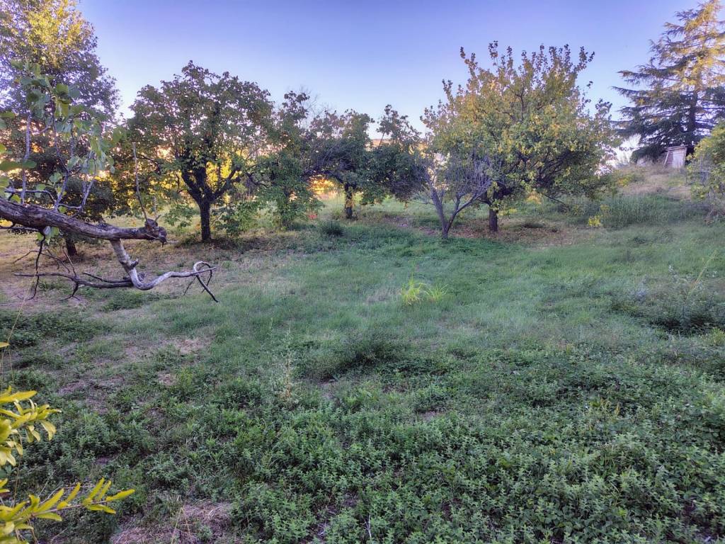 Terreno a Atessa - Foto 4