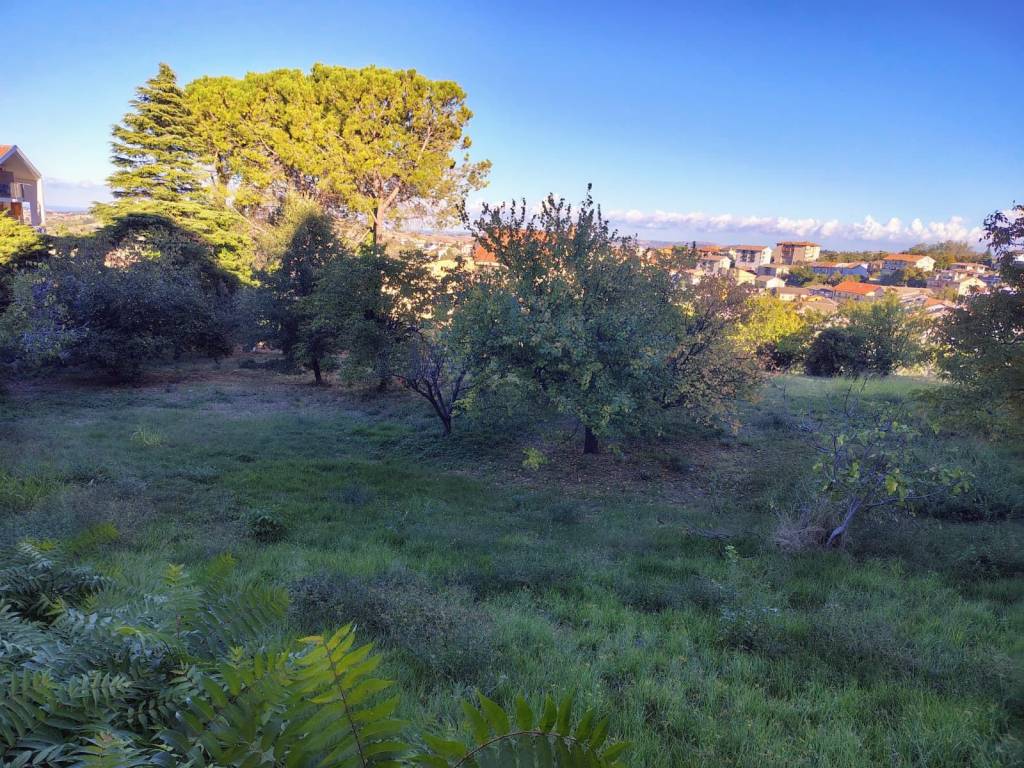 Terreno a Atessa - Foto 5