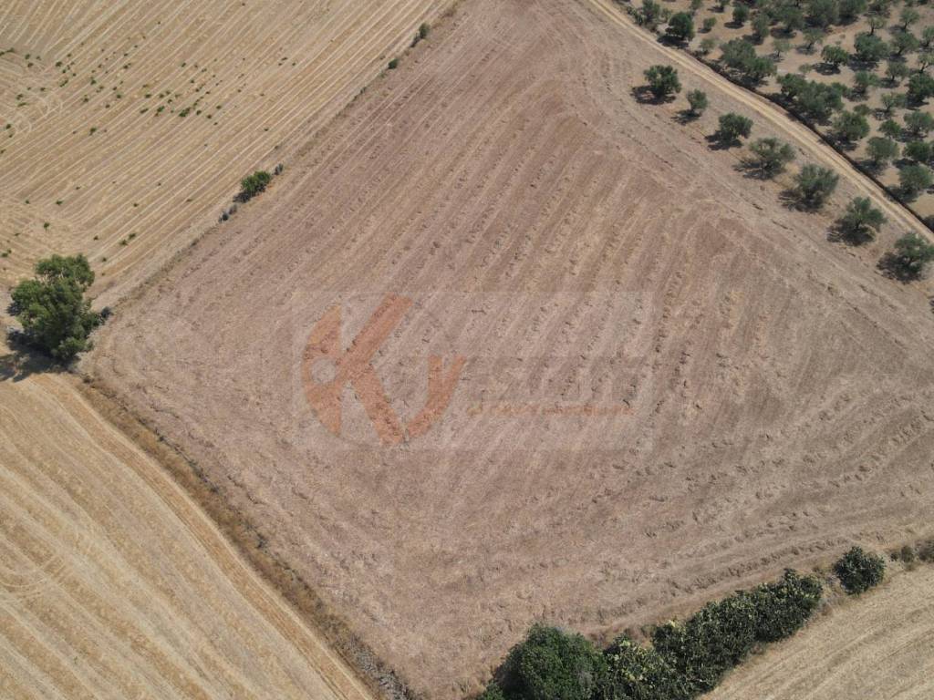 Terreno a Monastir in ss 128 - Foto 5