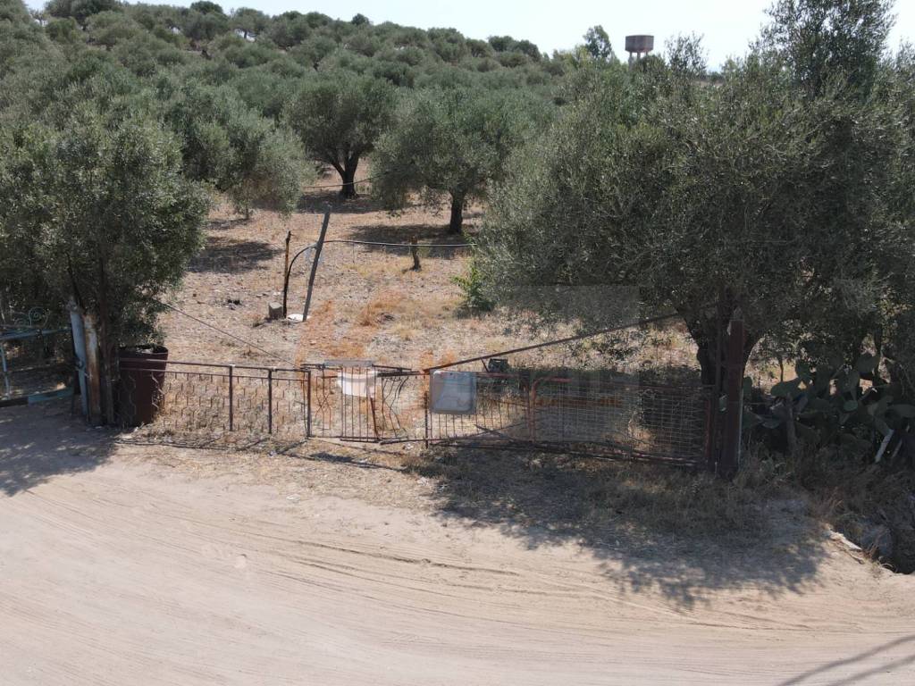Terreno a Monastir in ss 128 - Foto 3