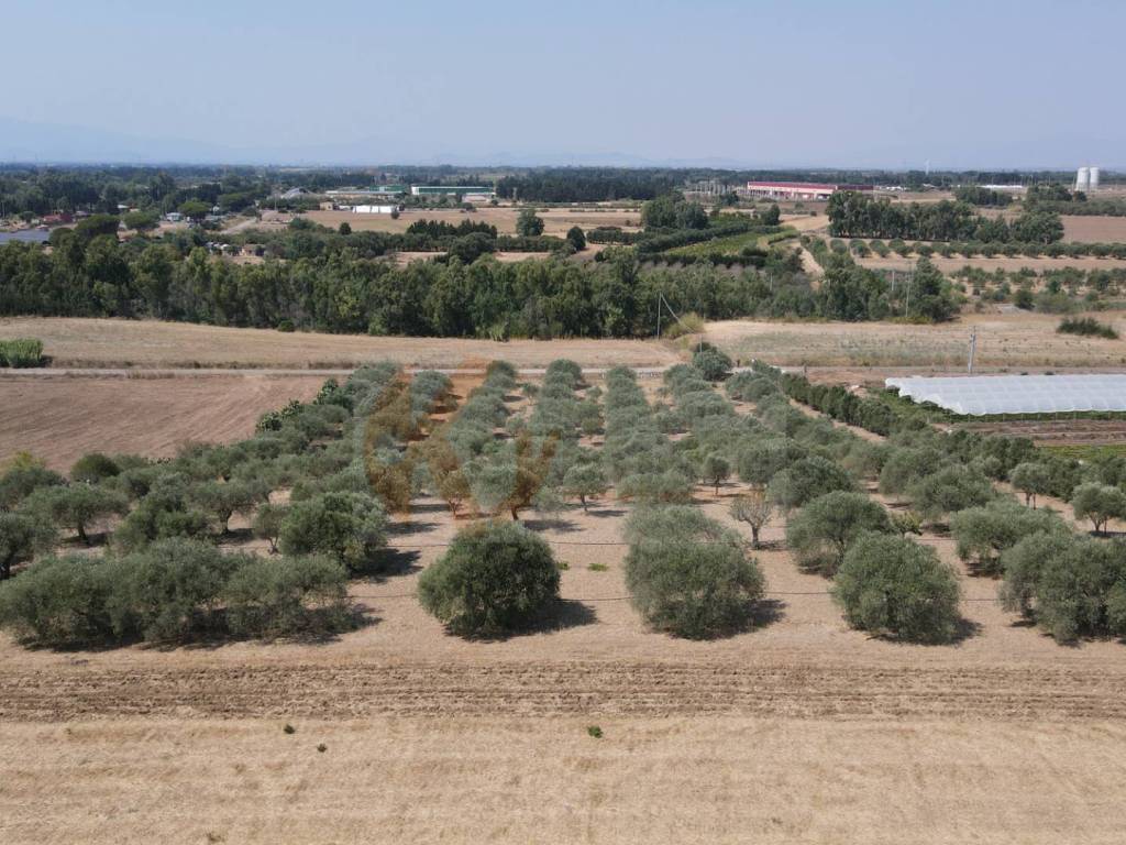 Terreno a Monastir in ss 128 - Foto 4