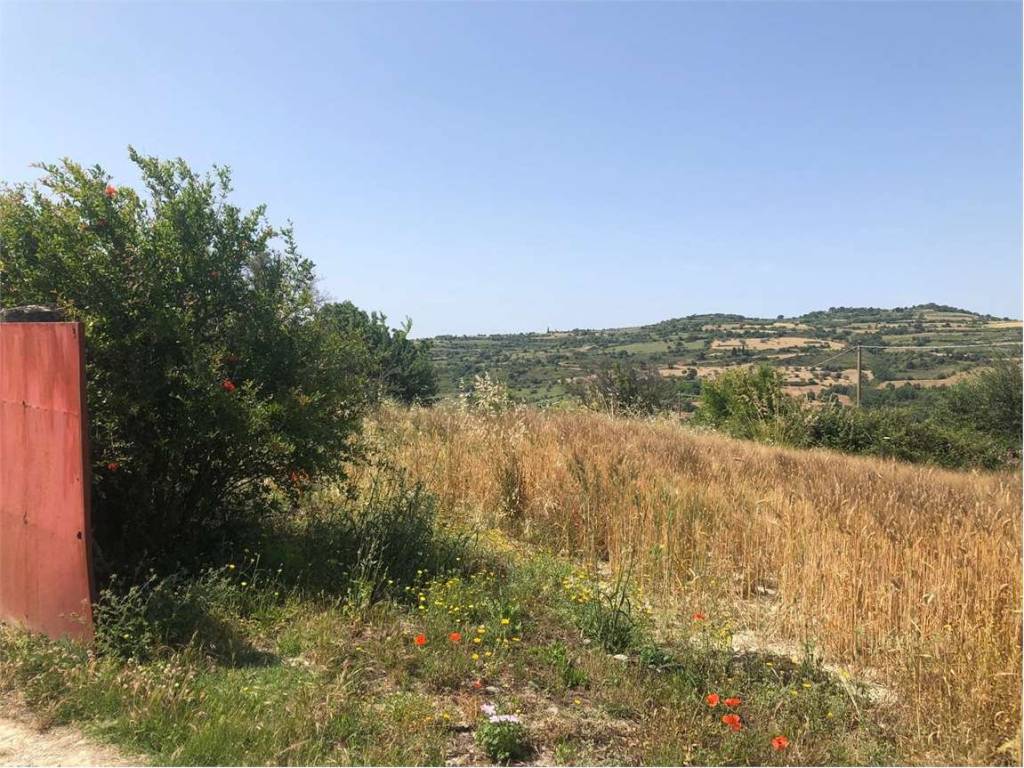 Rustico / casale a Buscemi in Via Cincinnato, 1 - Foto 3