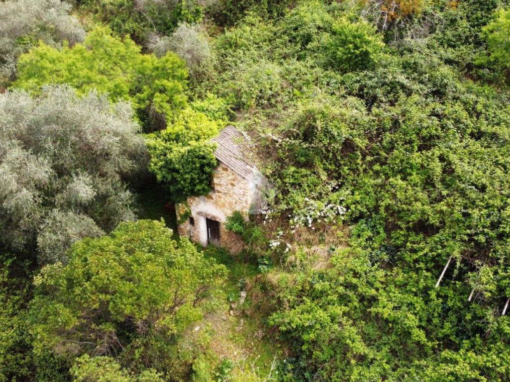 Rustico / casale a Vallebona in Strada Ciaudauda - Foto 2
