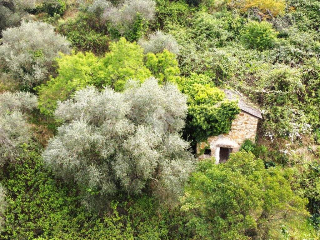 Rustico / casale a Vallebona in Strada Ciaudauda - Foto 3