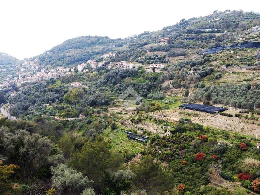Rustico / casale a Vallebona in Strada Ciaudauda - Foto 5