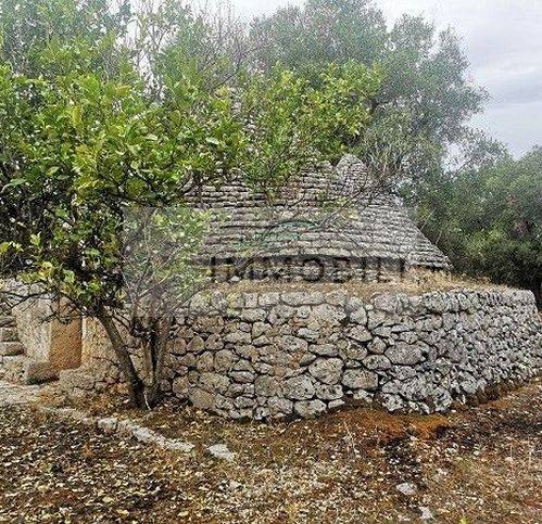 Terreno a Carovigno in Contrada Padalino - Foto 3