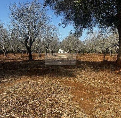 Terreno a Carovigno in Contrada Ferro Rosso - Foto 2