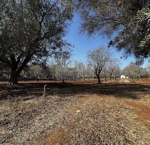 Terreno a Carovigno in Contrada Ferro Rosso - Foto 4