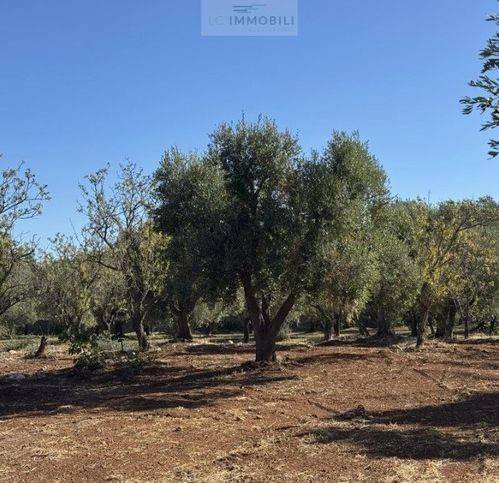 Terreno a Carovigno in Via Del Mare - Foto 3