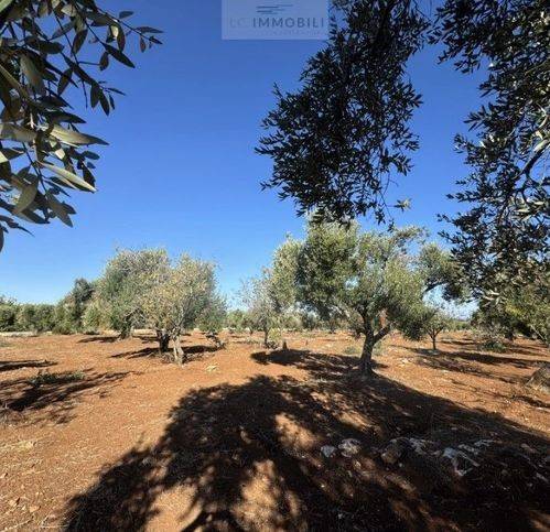 Terreno a Carovigno in Via Del Mare - Foto 4