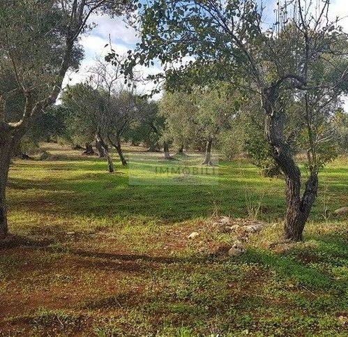 Terreno a Carovigno in Contrada Sfacilla - Foto 2