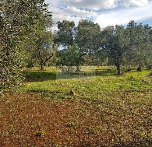 Terreno a Carovigno in Contrada Sfacilla - Foto 4