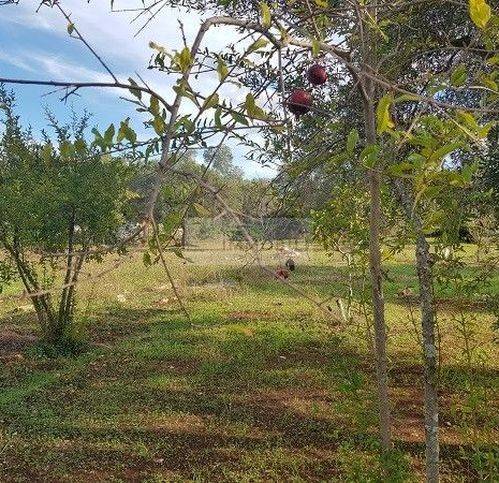 Terreno a Carovigno in Contrada Sfacilla - Foto 5
