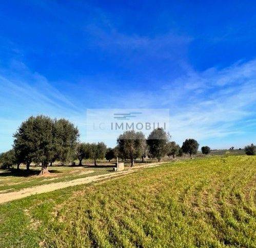 Rustico / casale a Carovigno in Ignota - Foto 2