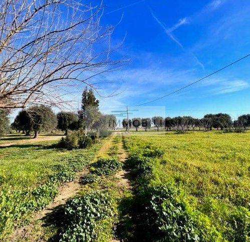 Rustico / casale a Carovigno in Ignota - Foto 4