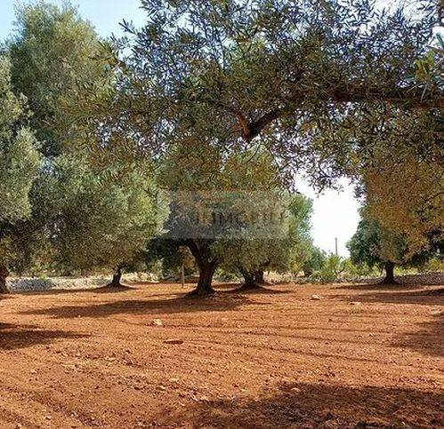 Terreno a Carovigno in Via Serranova - Foto 2